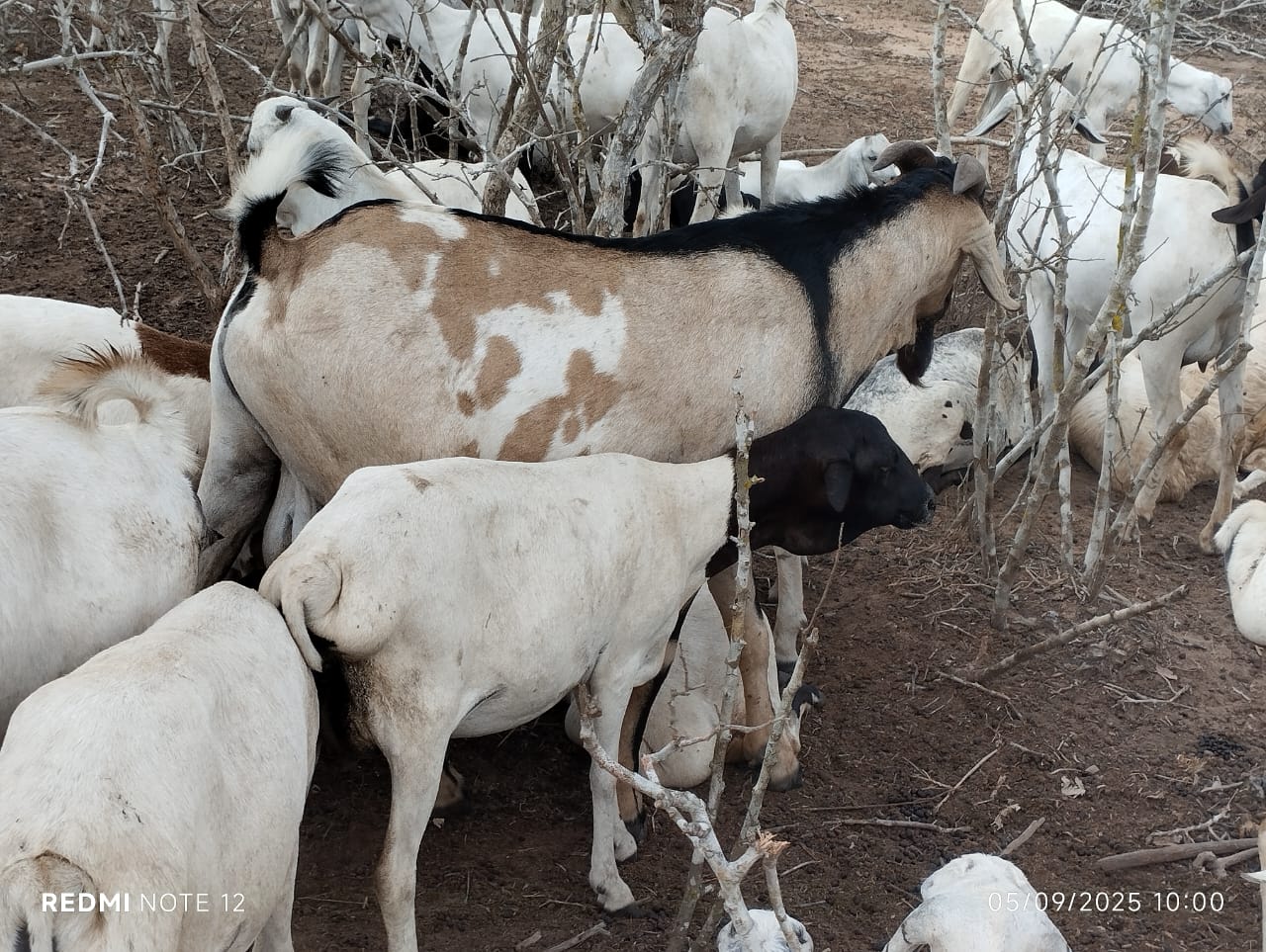 Mass excavation works, Kajiado County