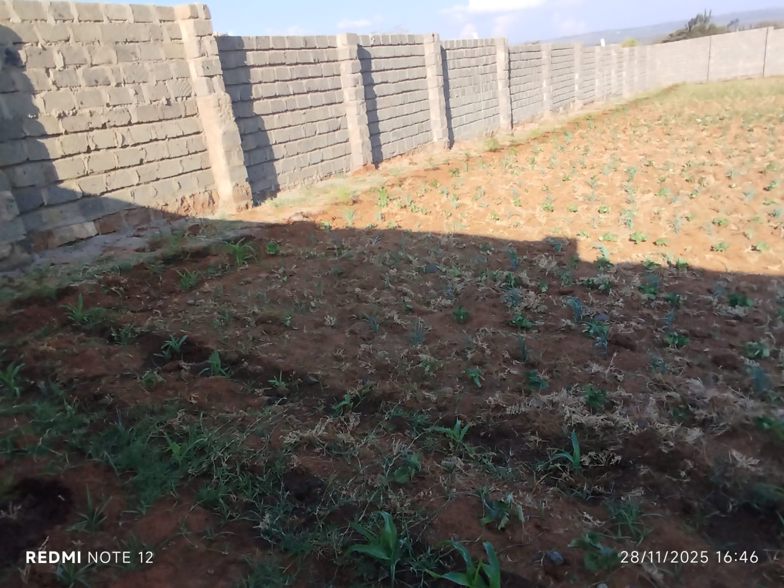 Real estate site preparation and grading